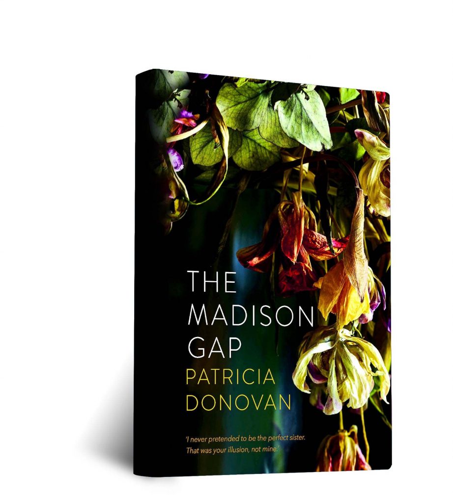 The Madison Gap by Patricia Donovan