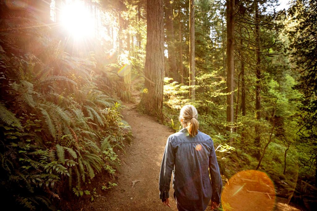 Reconnect with nature and improve your physical and mental wellbeing by visiting a local forest or nature park.