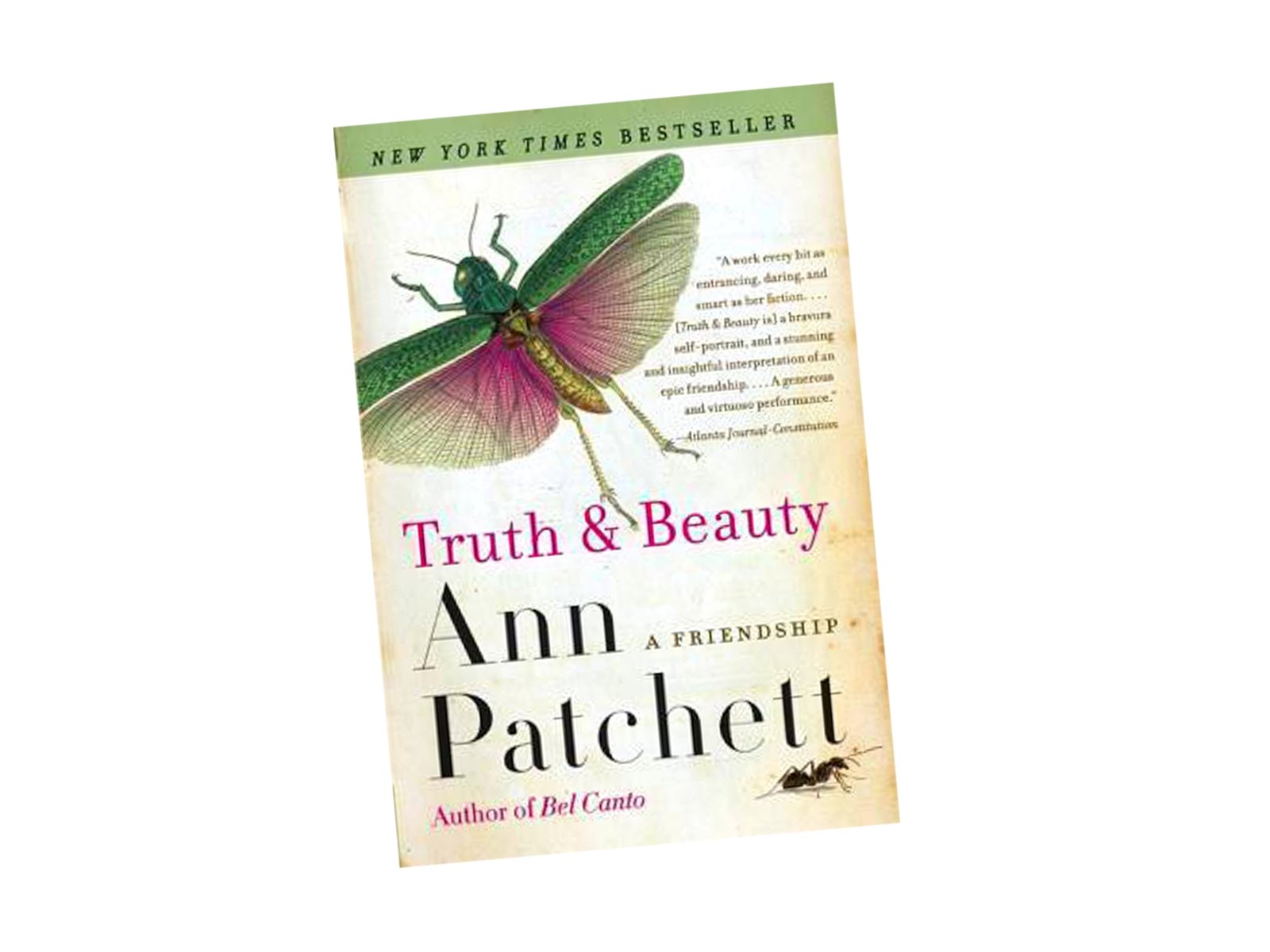 Truth & Beauty by Ann Patchett