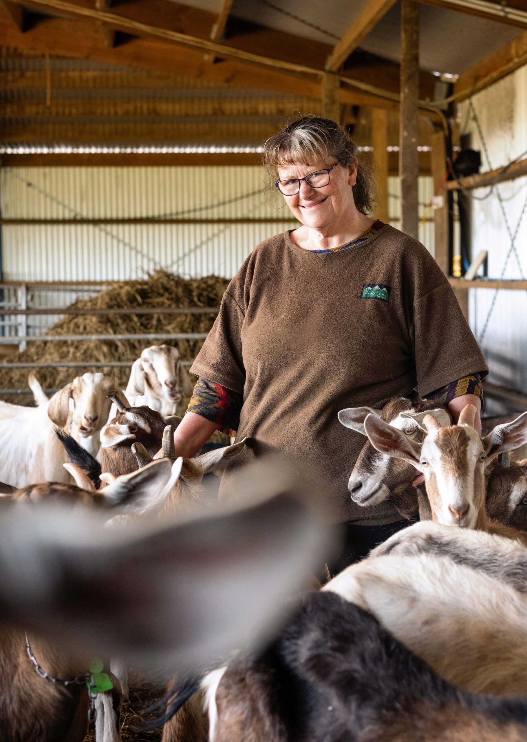 Annie Nieuwenhuis surrounded by her goats in a barn