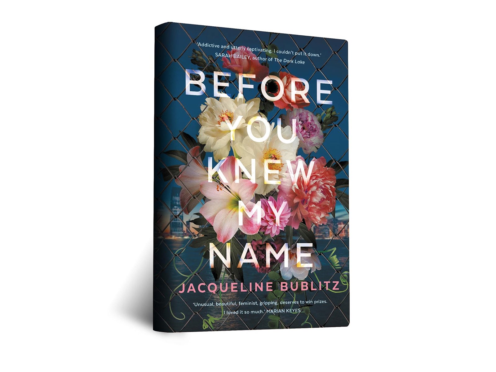 Before You Knew My Name by Jacqueline Bublitz 