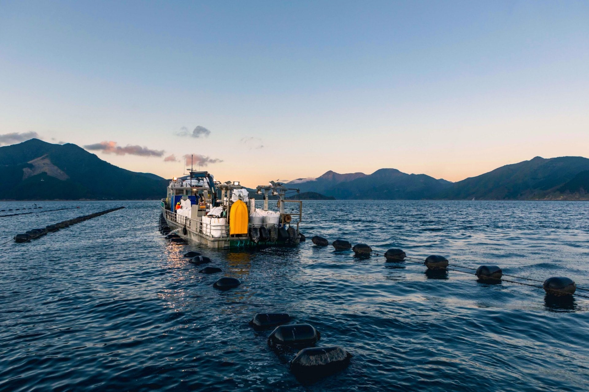 Kono boat harvesting mussels on the water