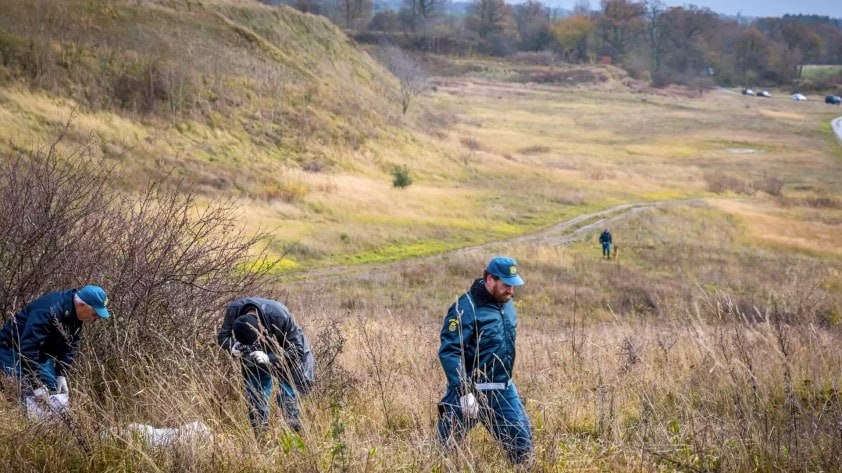 Scene from The Hunt for a Killer of searchers in a field