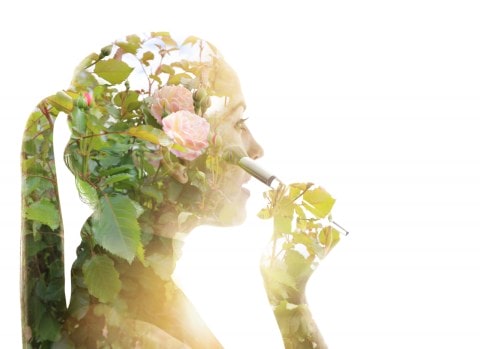 Multiple exposure of a young woman applying make up and morphing into rose bush