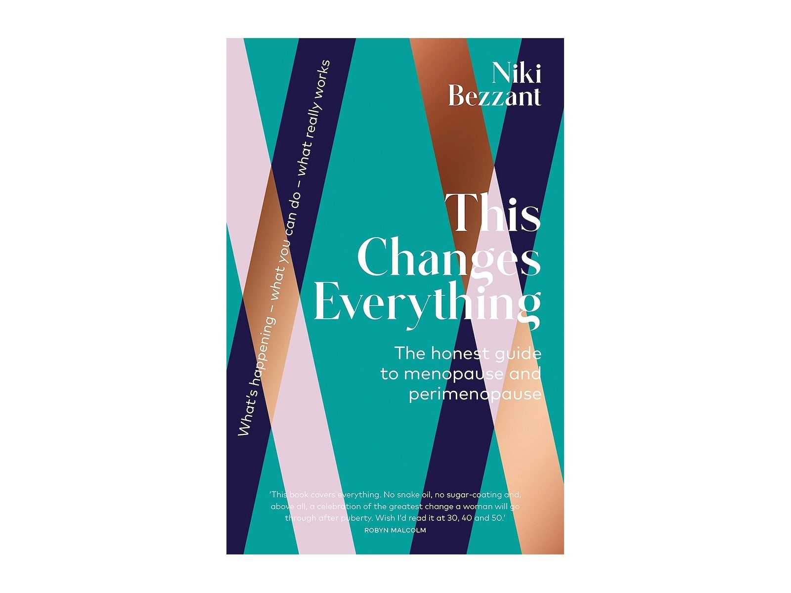 Niki Bezzant This Changes Everything cover