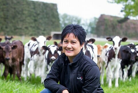 Jessie Chan crouches in a field of cows.