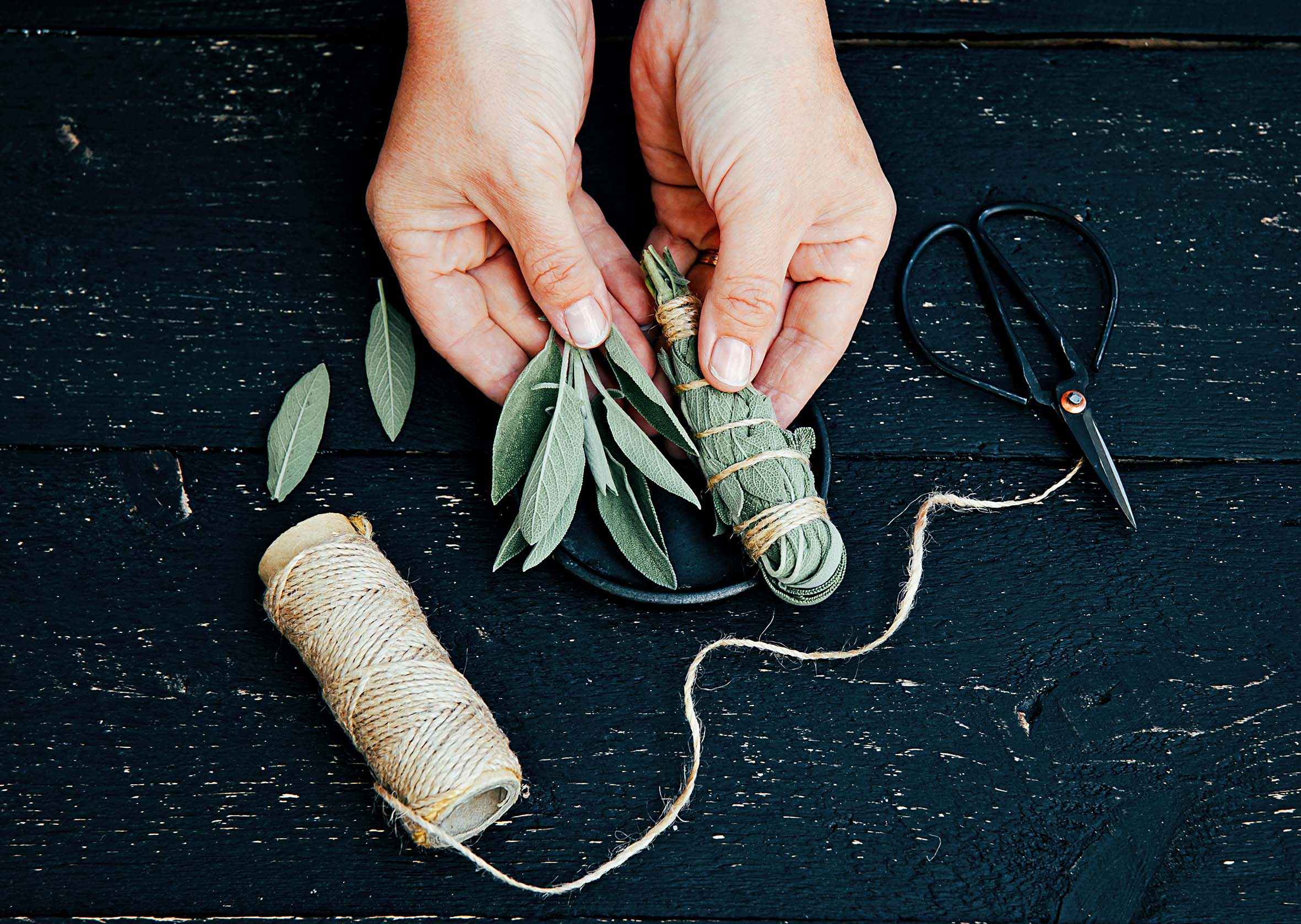 Person making white sage Salvia apiana smudge stick at home with homegrown sage leaves. Cotton string and vintage scissors for decoration on black wood background. Flat lay view.