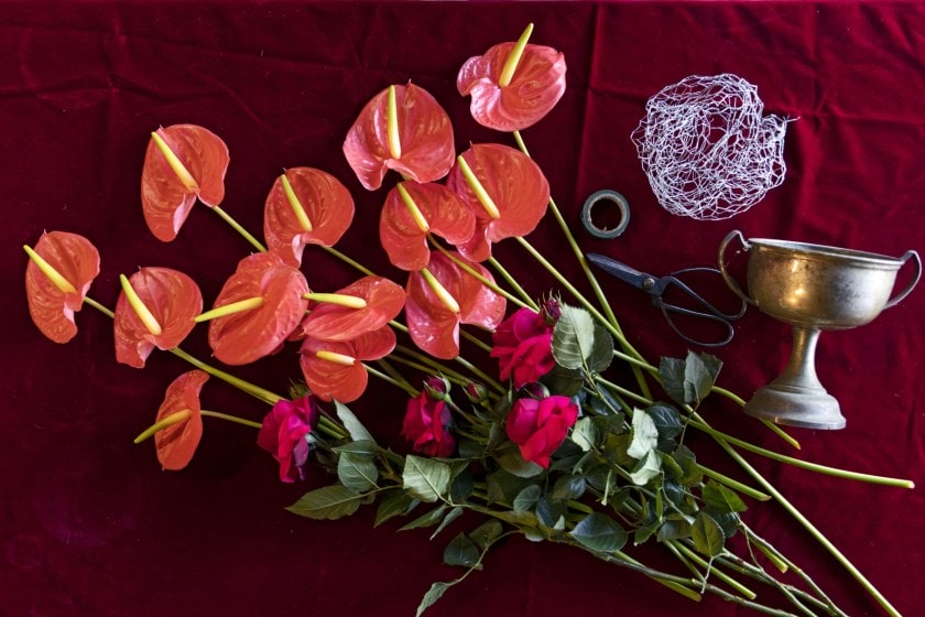 red and orange flowers