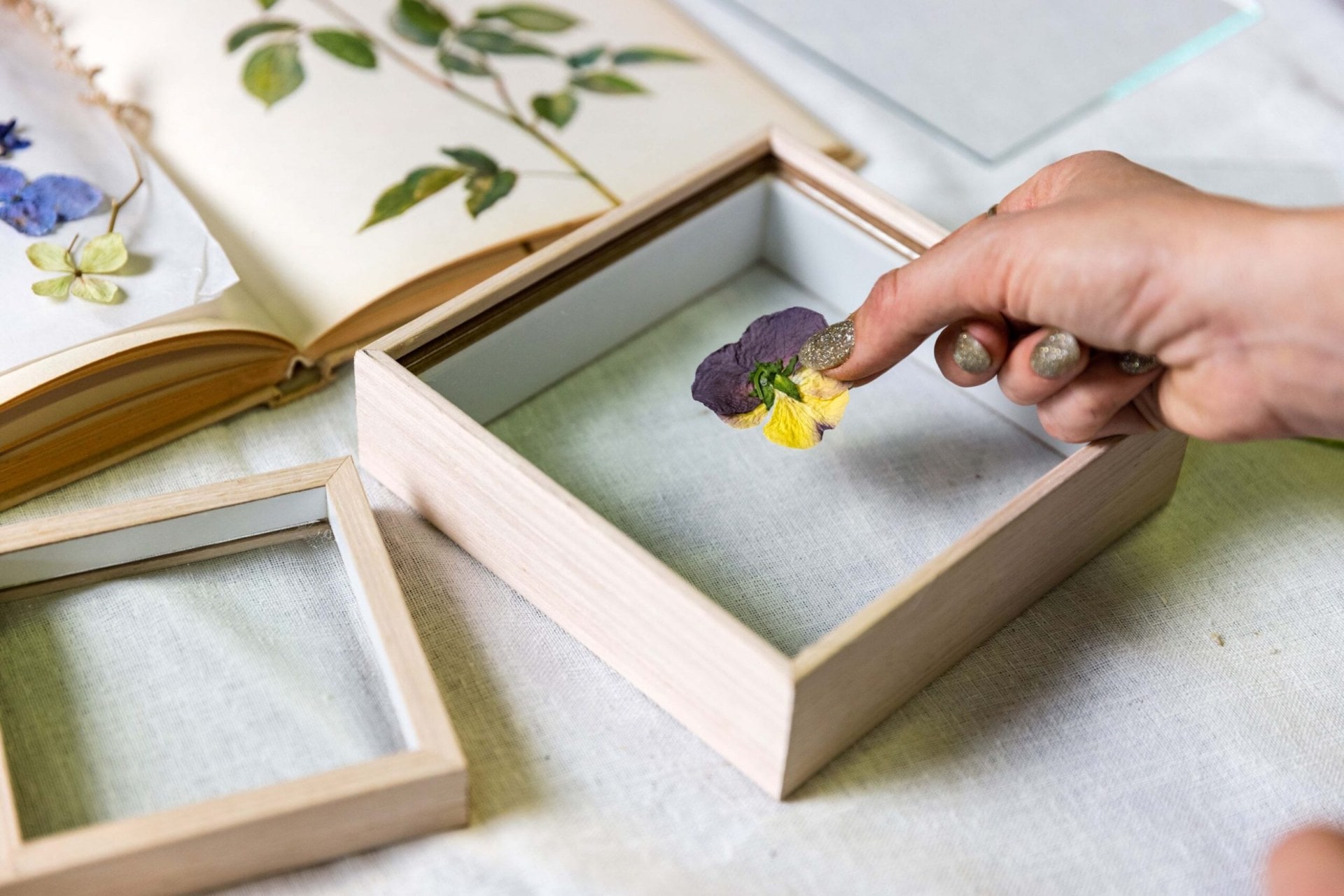A yellow and purple passed pansy flower bloom being placed on top of glass in a small wood frame