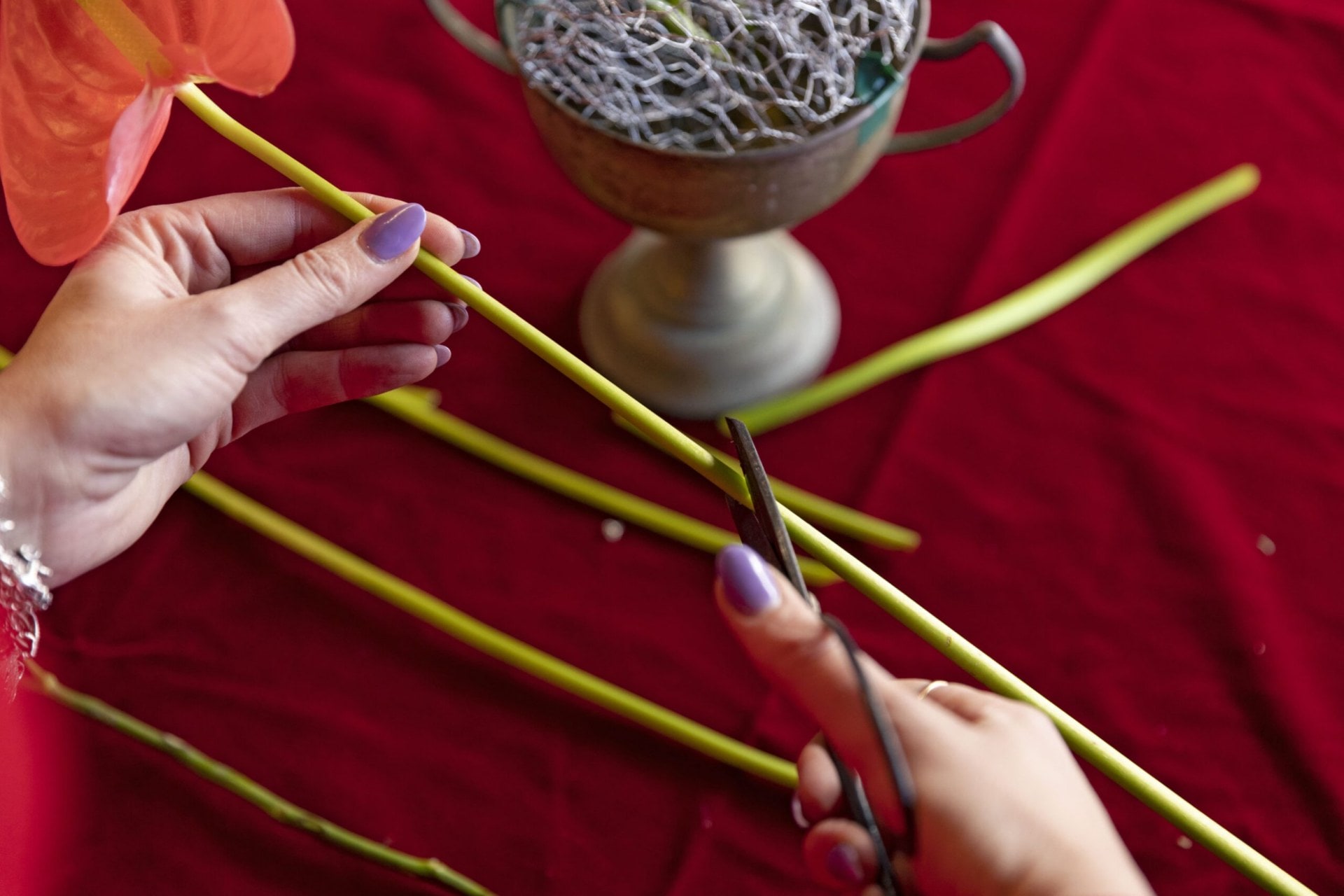 Green stems of red flowers being trimmed 