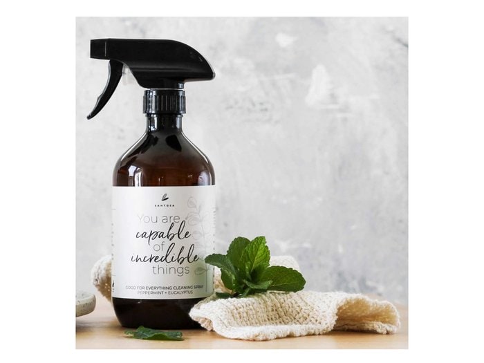 Peppermint + Eucalyptus Good For Everything Cleaning Spray, $19.95 from Santosa.
