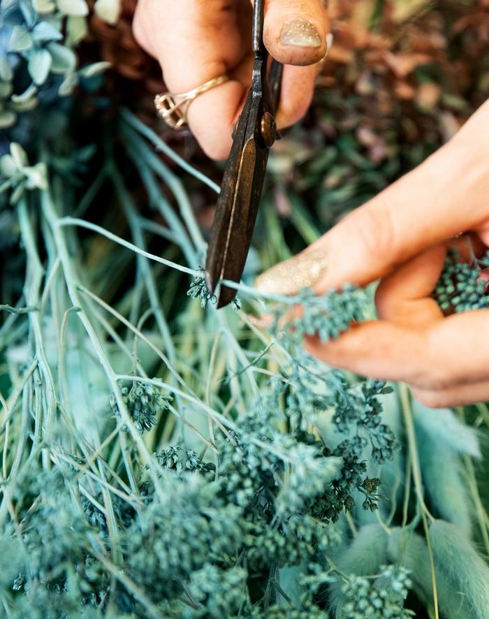 Green flowers being cut with black scissors