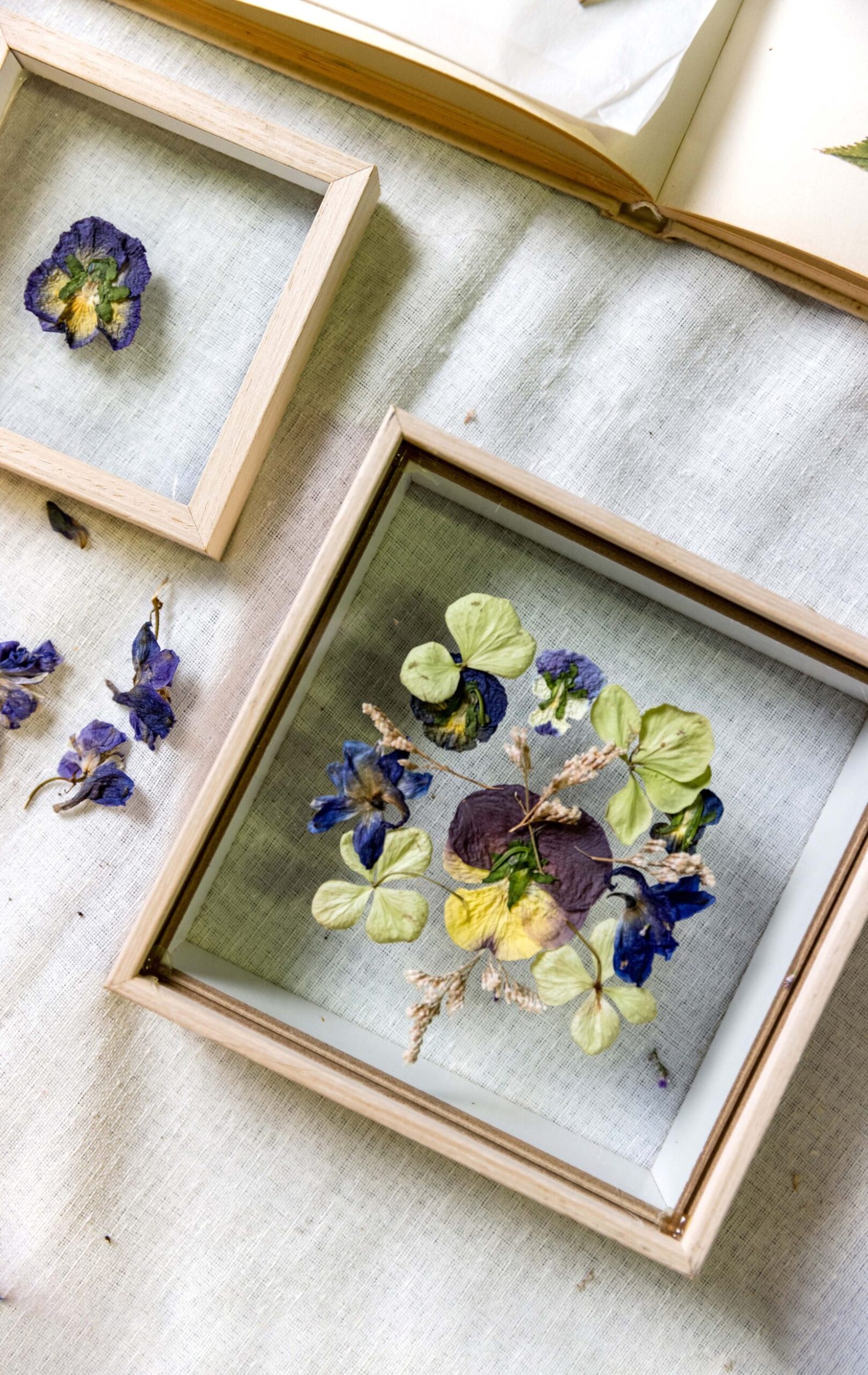 A small wood frame with a glass centre holding pressed petals