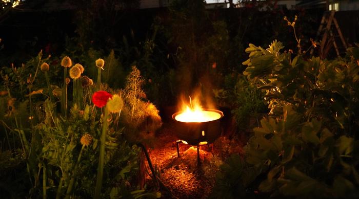 A fire pit in a garden