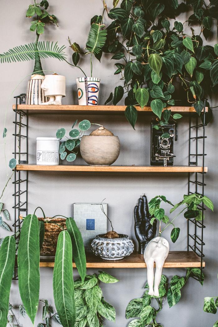 various plants and art objects on industrial wood and metal shelving