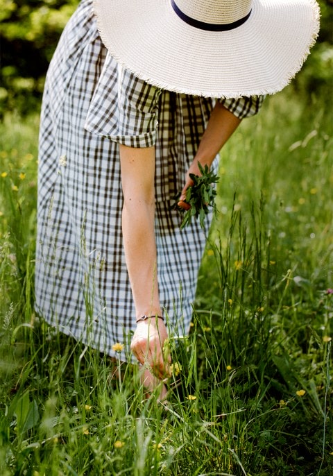 Woman picking flower from grass