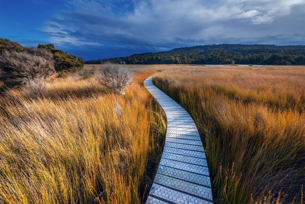 The Tautuku Estuary in the Catlins in Otago