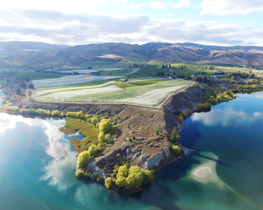 Carrick vineyard in Bannockburn, Central Otago