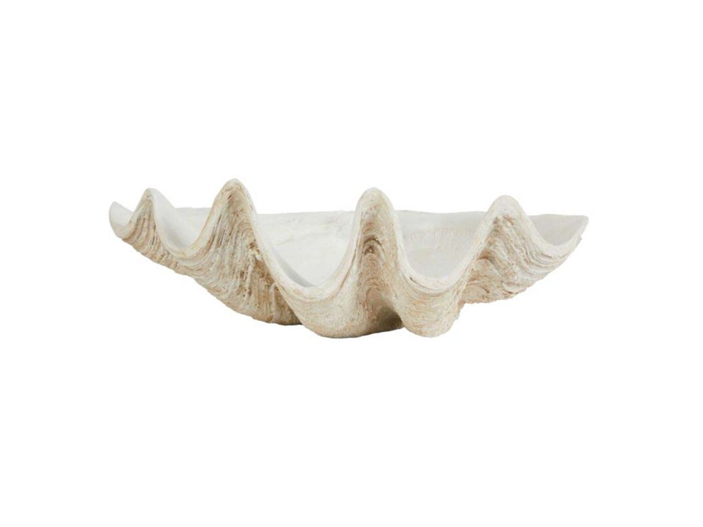 Giant clam decorative bowl, $149 from Freedom