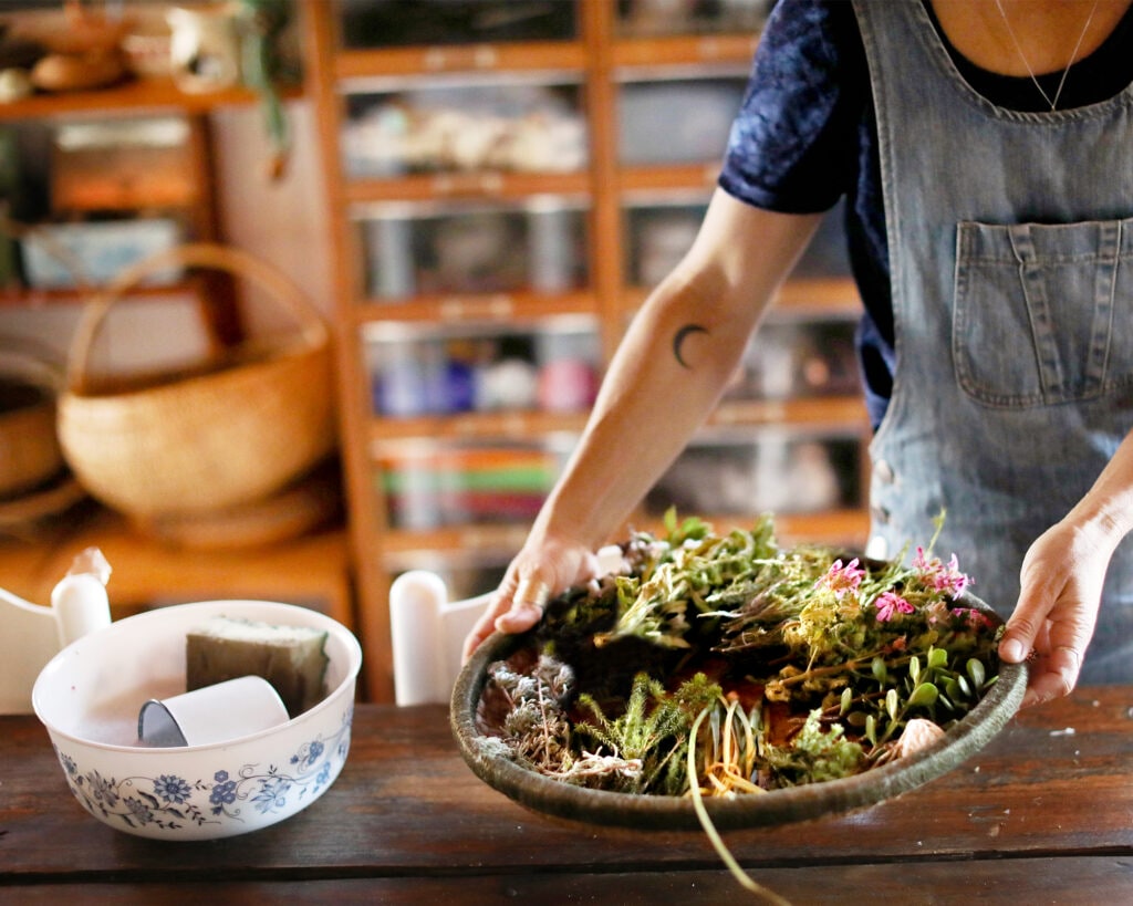 Salad bowl filled with plants