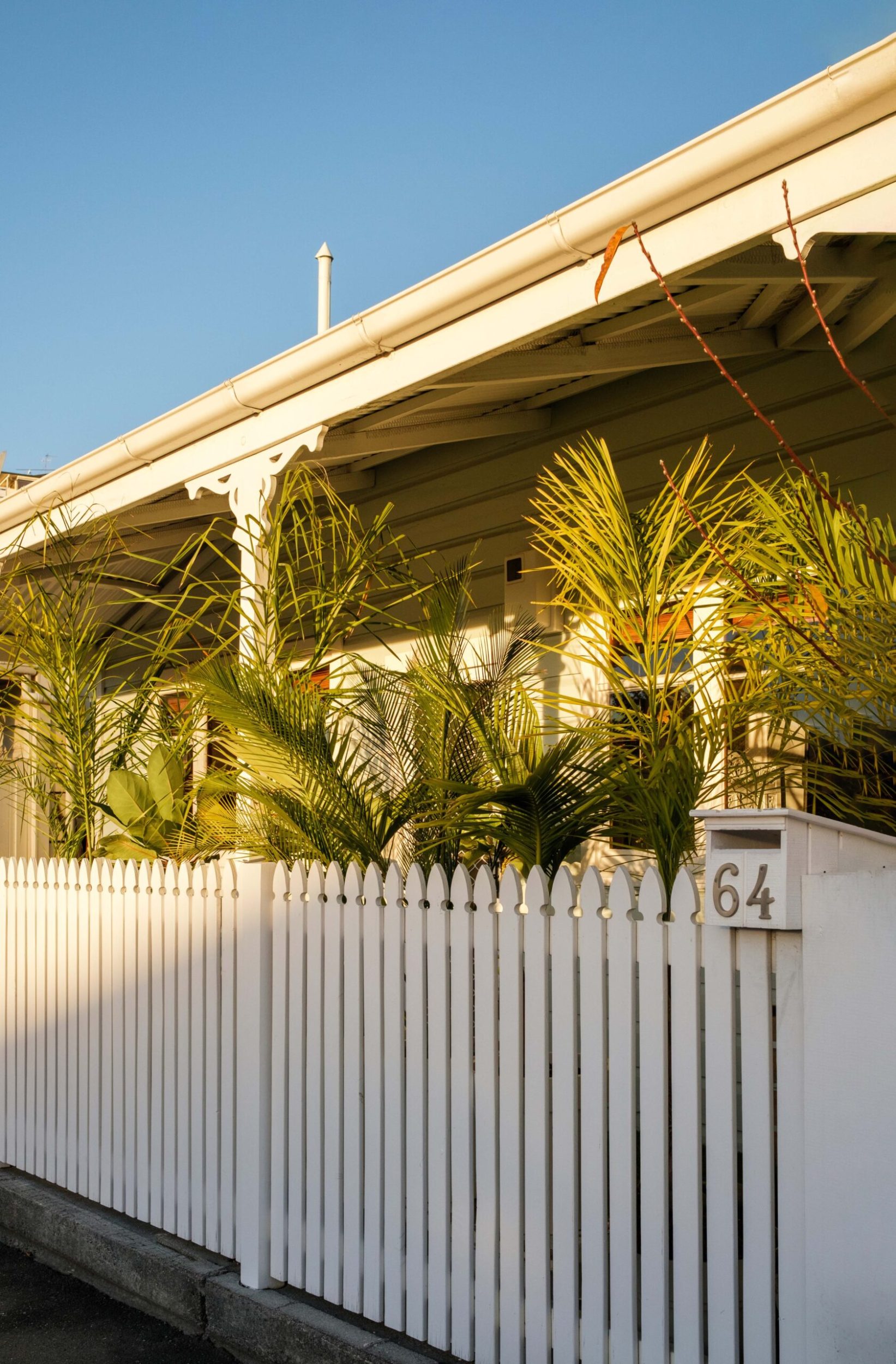 white cottage with white picket fence and palm trees lining the inside of the fence