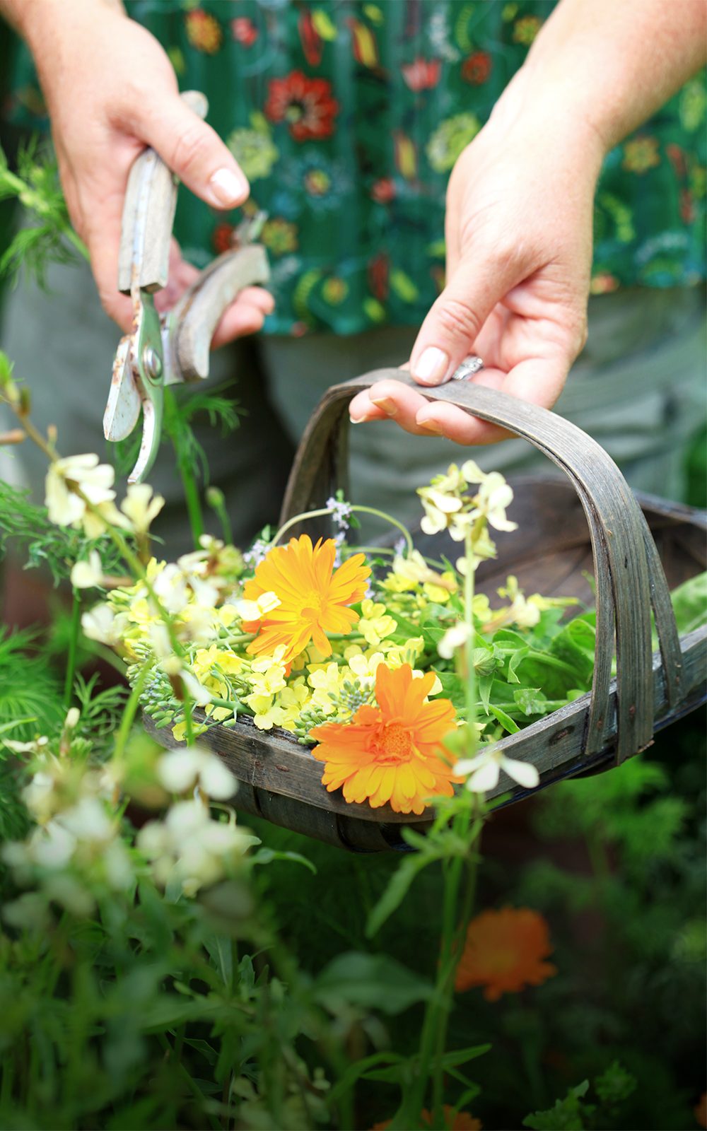 Basket filled with flowers