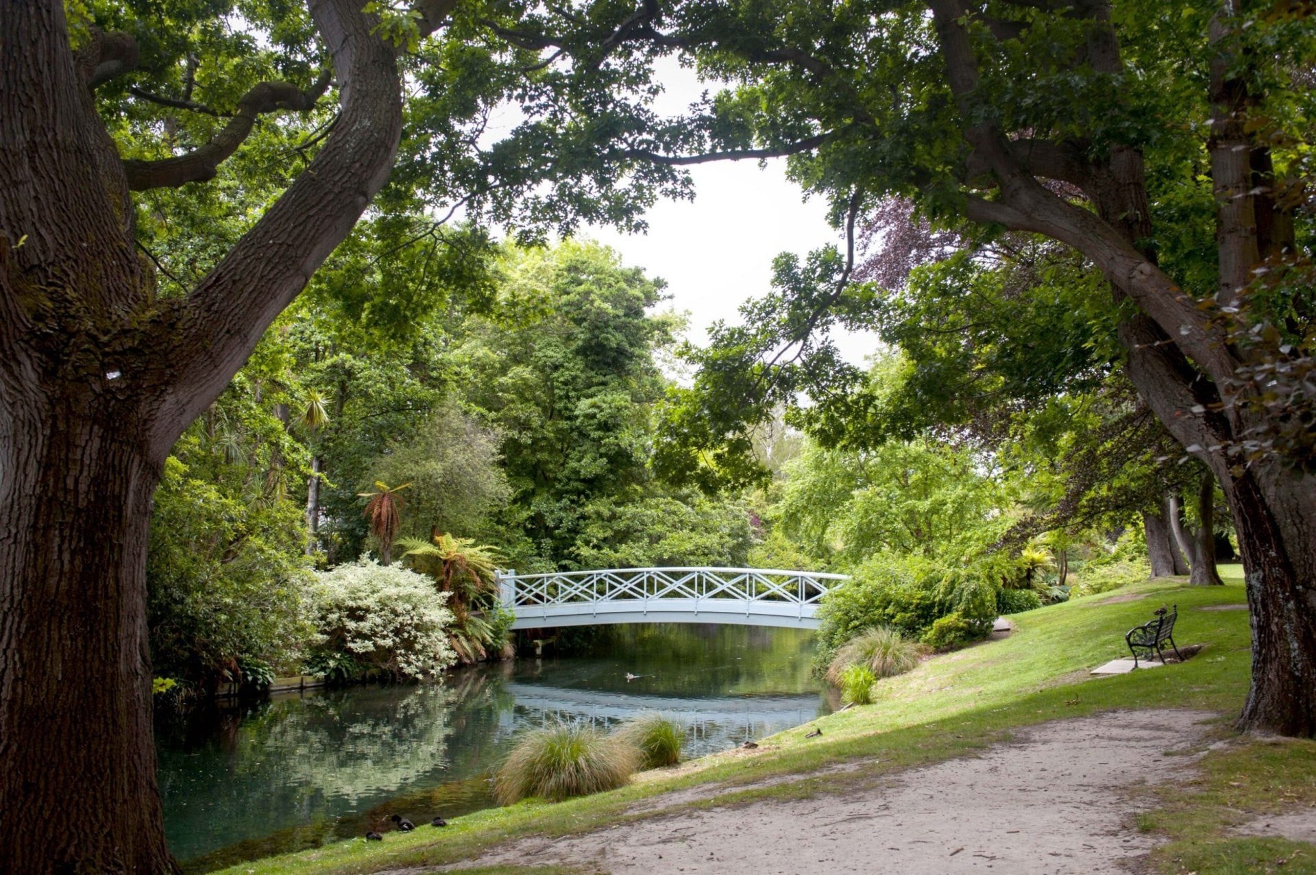 Greenery and a bridge at Mona Vale estate and gardens