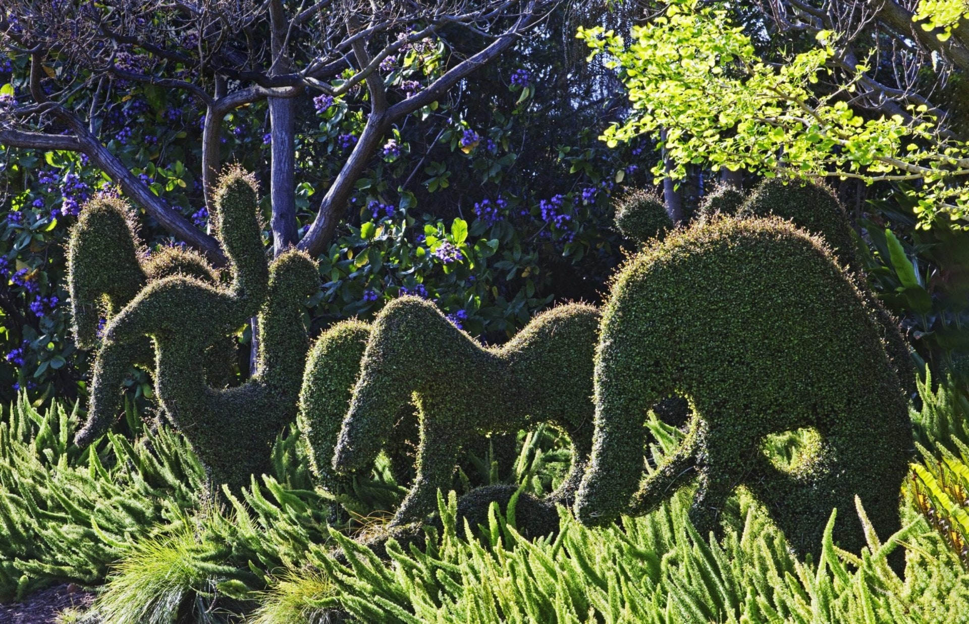 Topiary muehlenbeckia creatures at Melbourne’s Royal Botanic Gardens