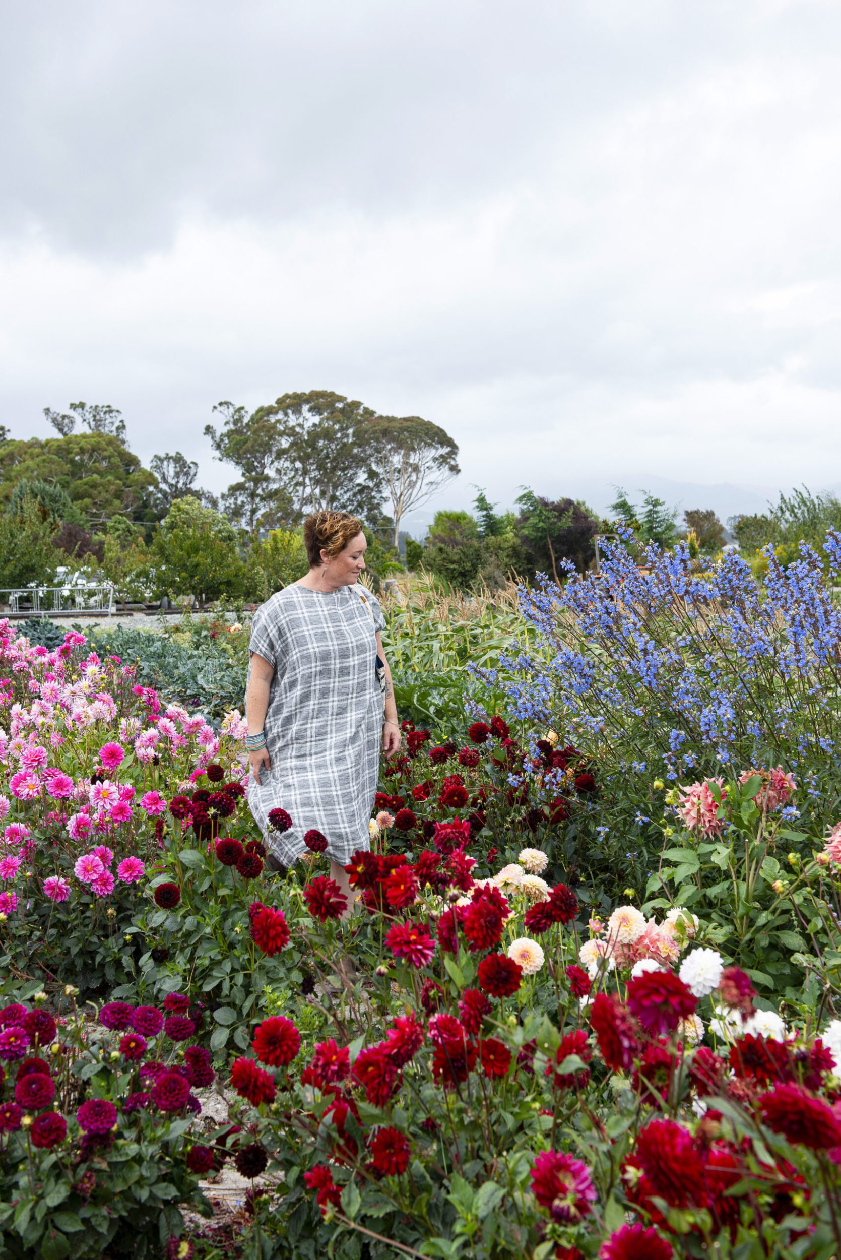 Fleur Woods walking in a garden growing red and white dahlias