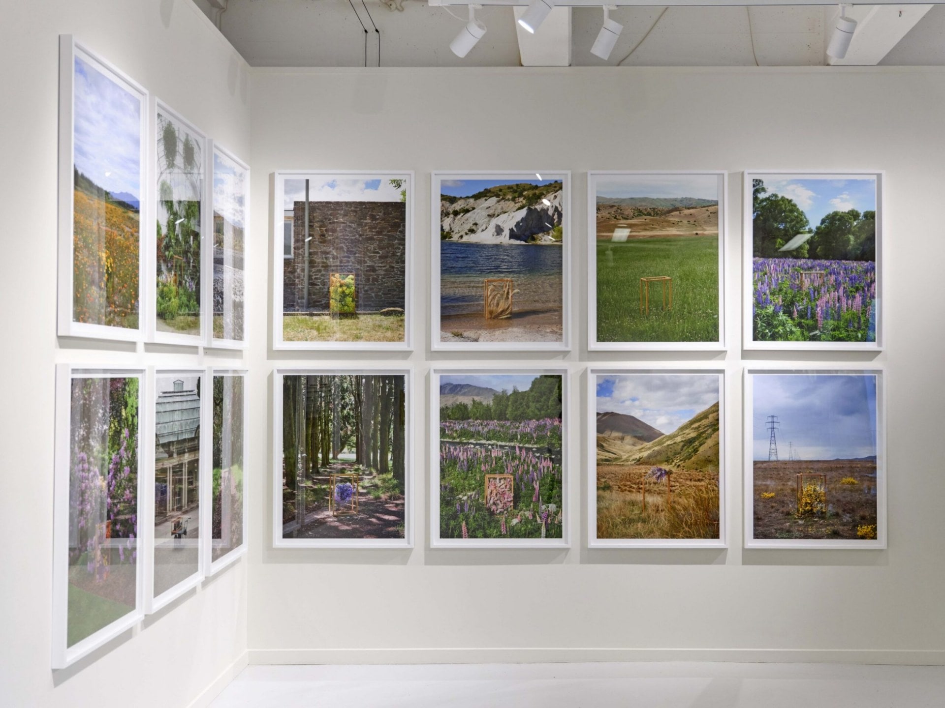 Case Studies South art by Felicity Jones hanging in a gallery
