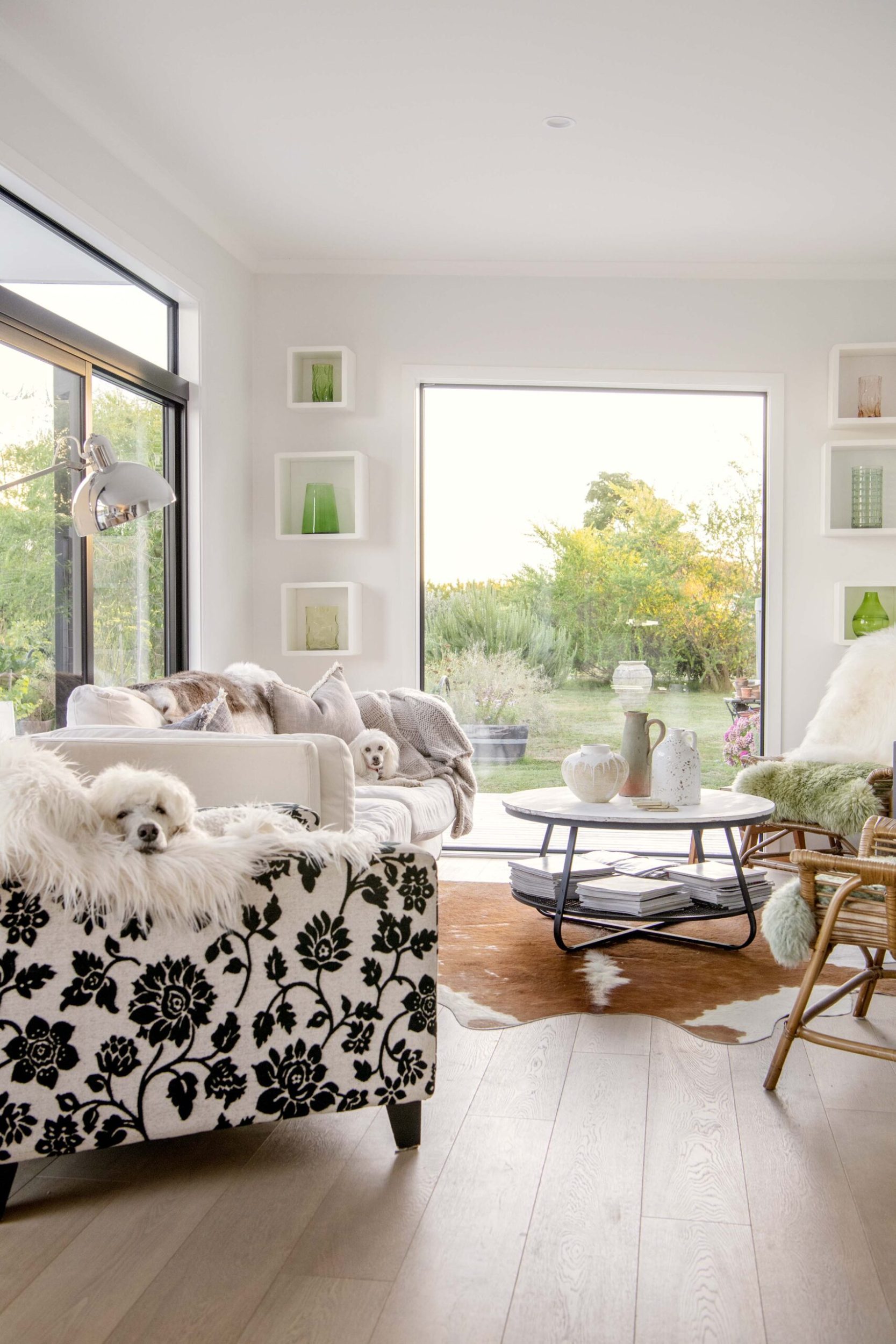 Two white dogs napping on different couches in a living area