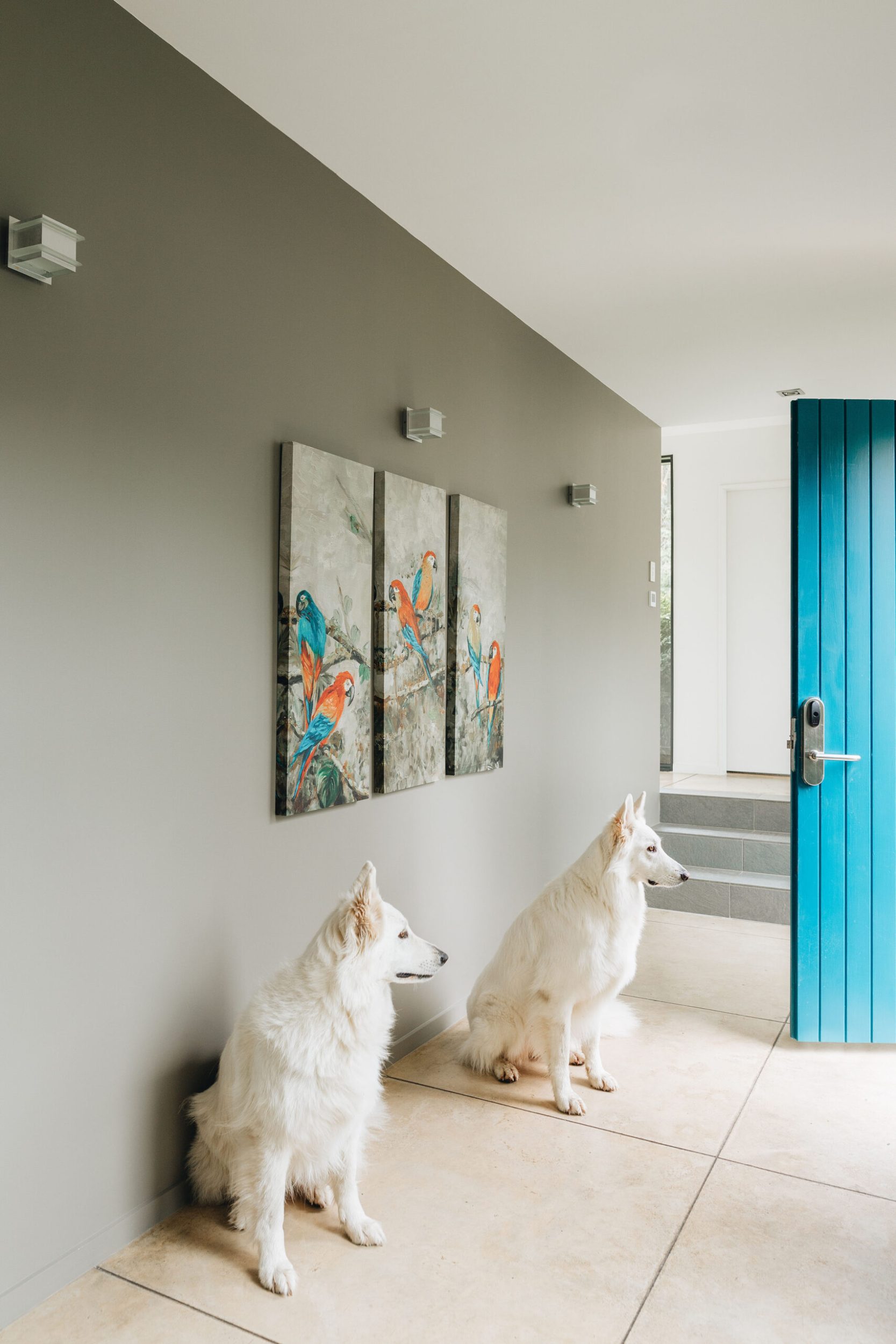 House entryway with a blue door, a grey wall and large grey floor tiles