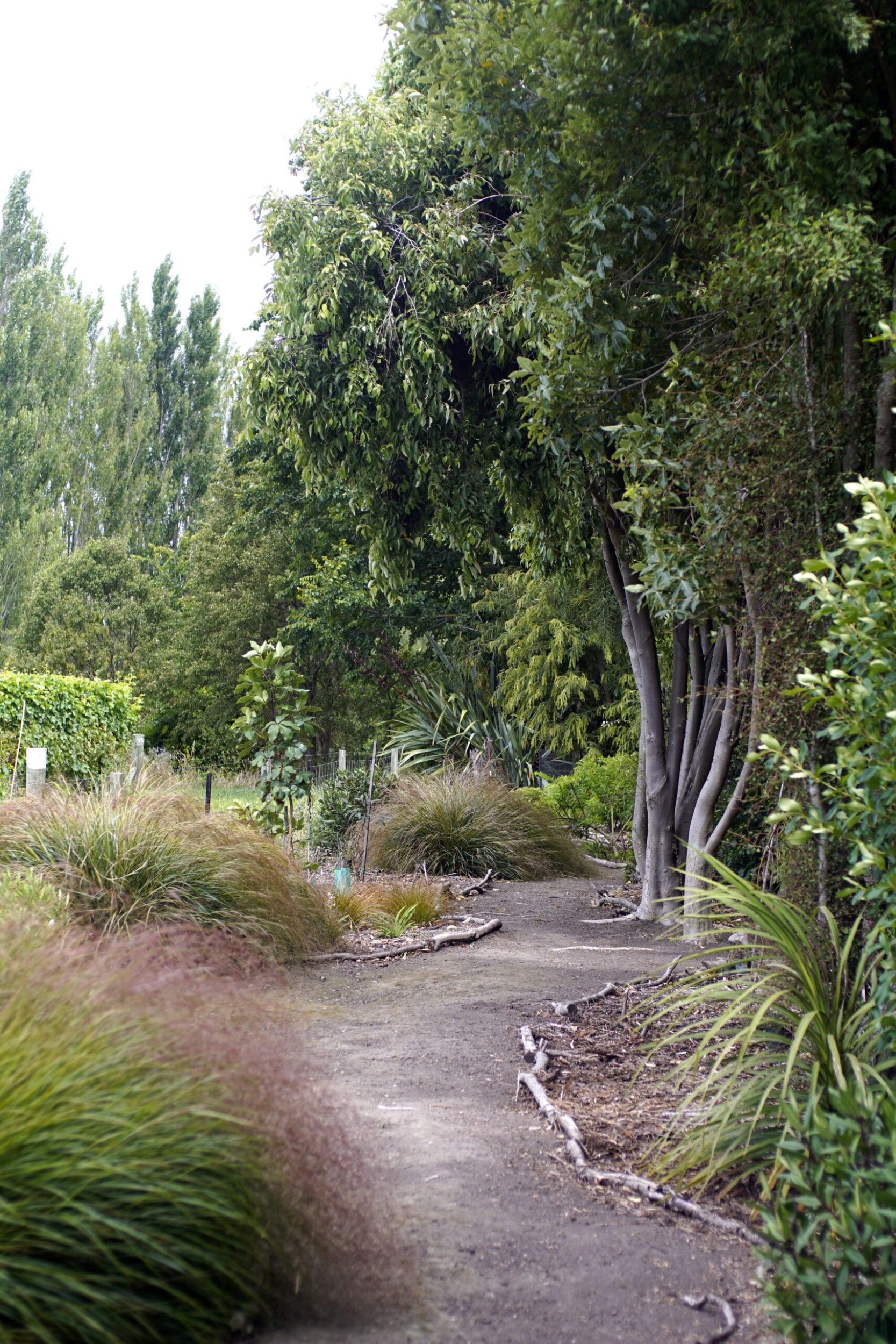 A garden with paths marked by branches