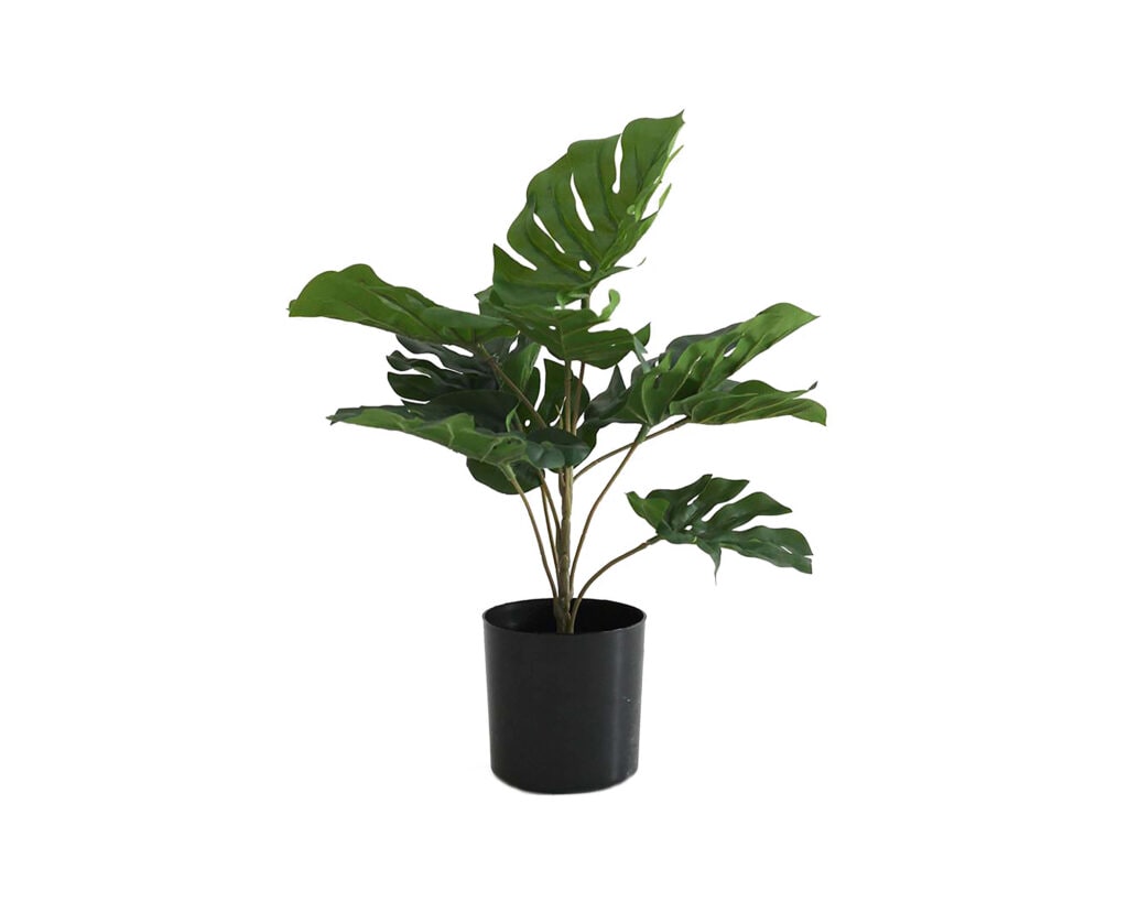 Faux monstera v květináči, 39,99 $ od A&C Homestore