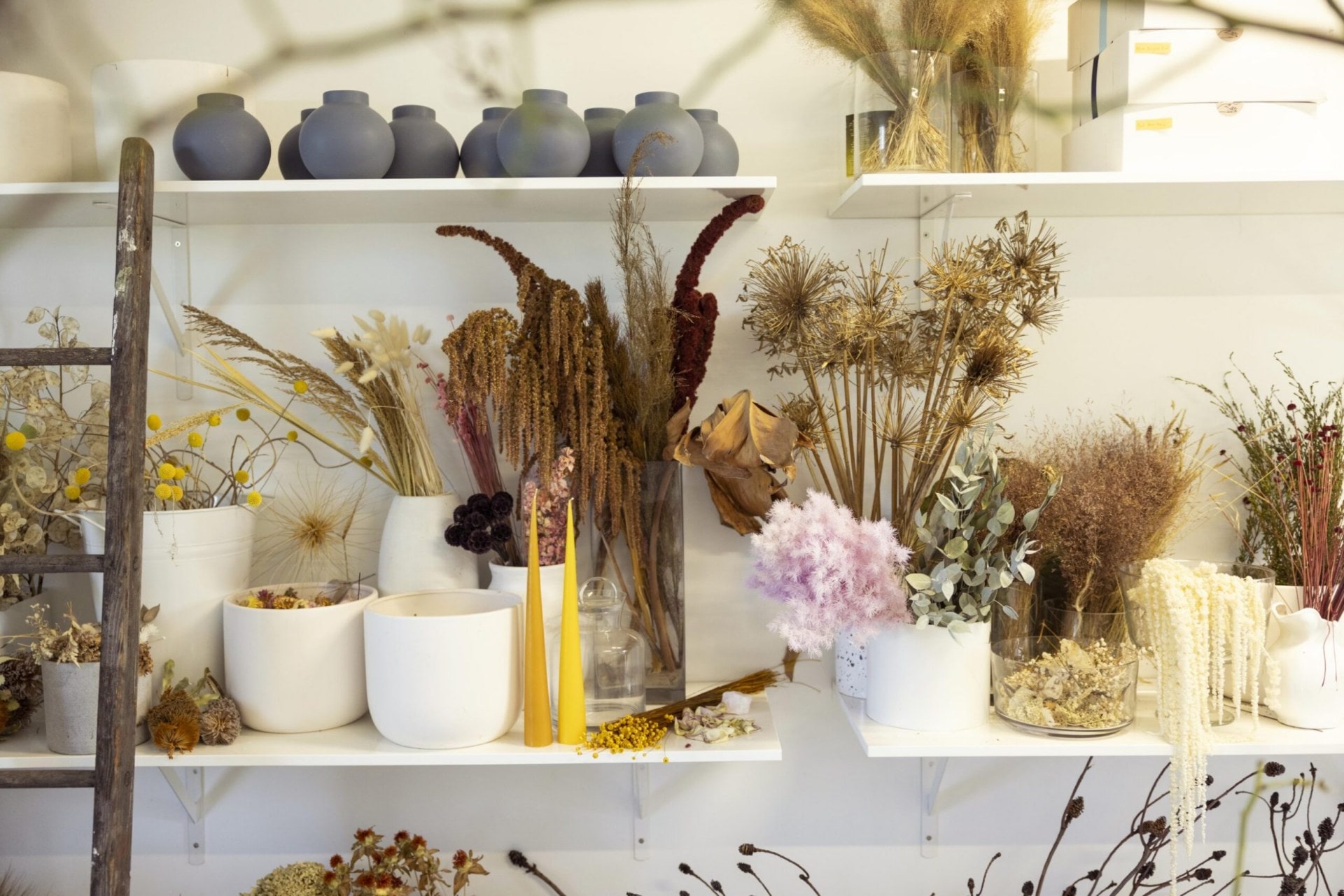 Shelves at a floral shop with white vases and dried flowers