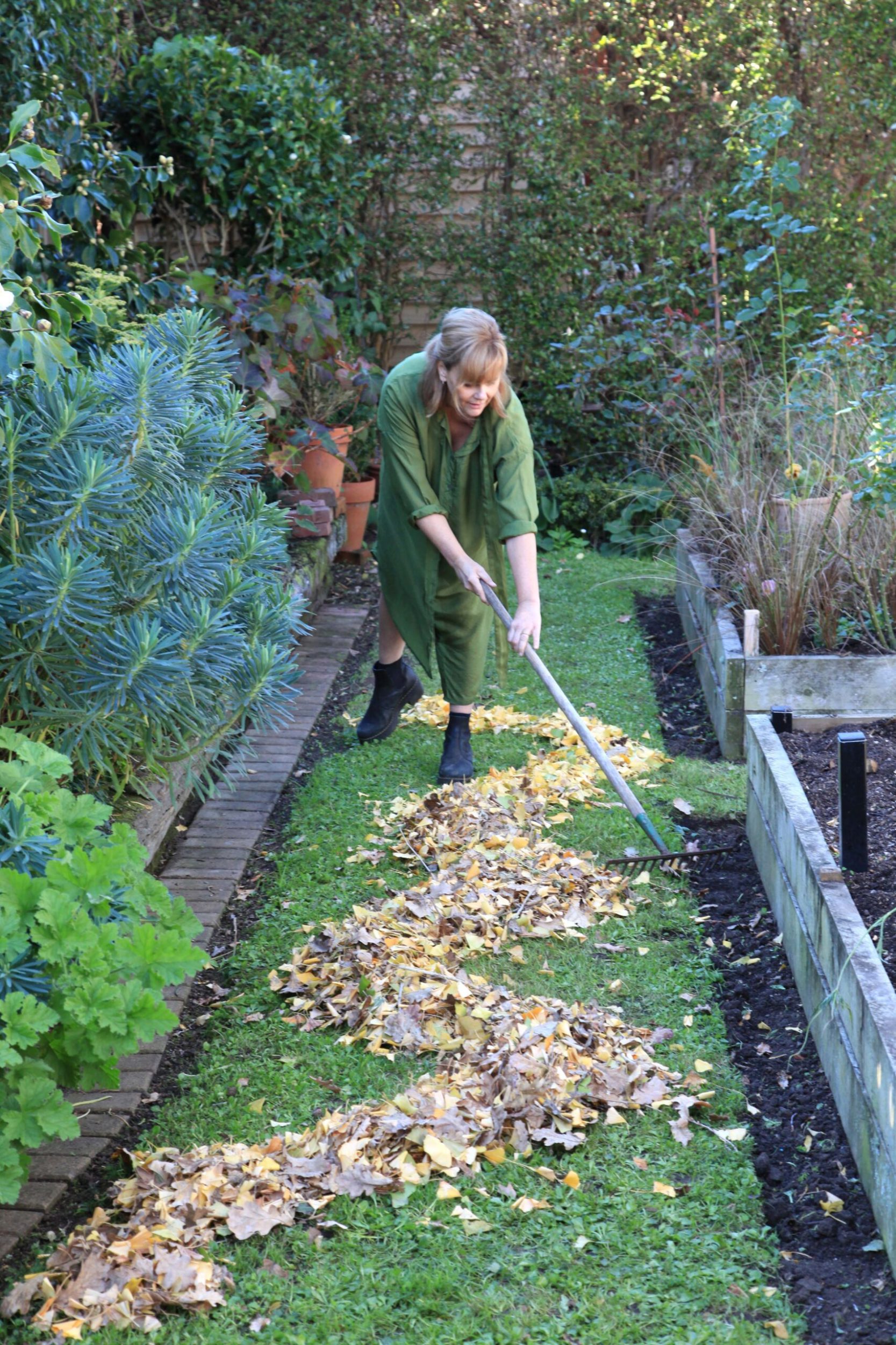 Felicity Jones raking wilted leaves in a garden