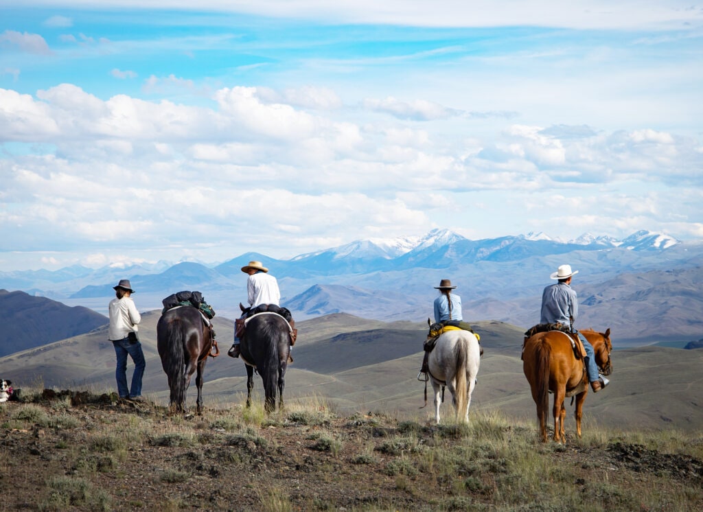 People riding horses in wild landscape