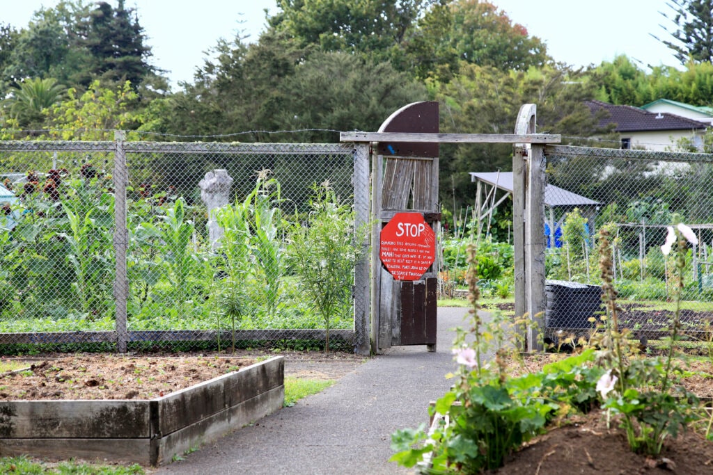 Front gate and fence of Rānui Community Garden featuring red stop sign