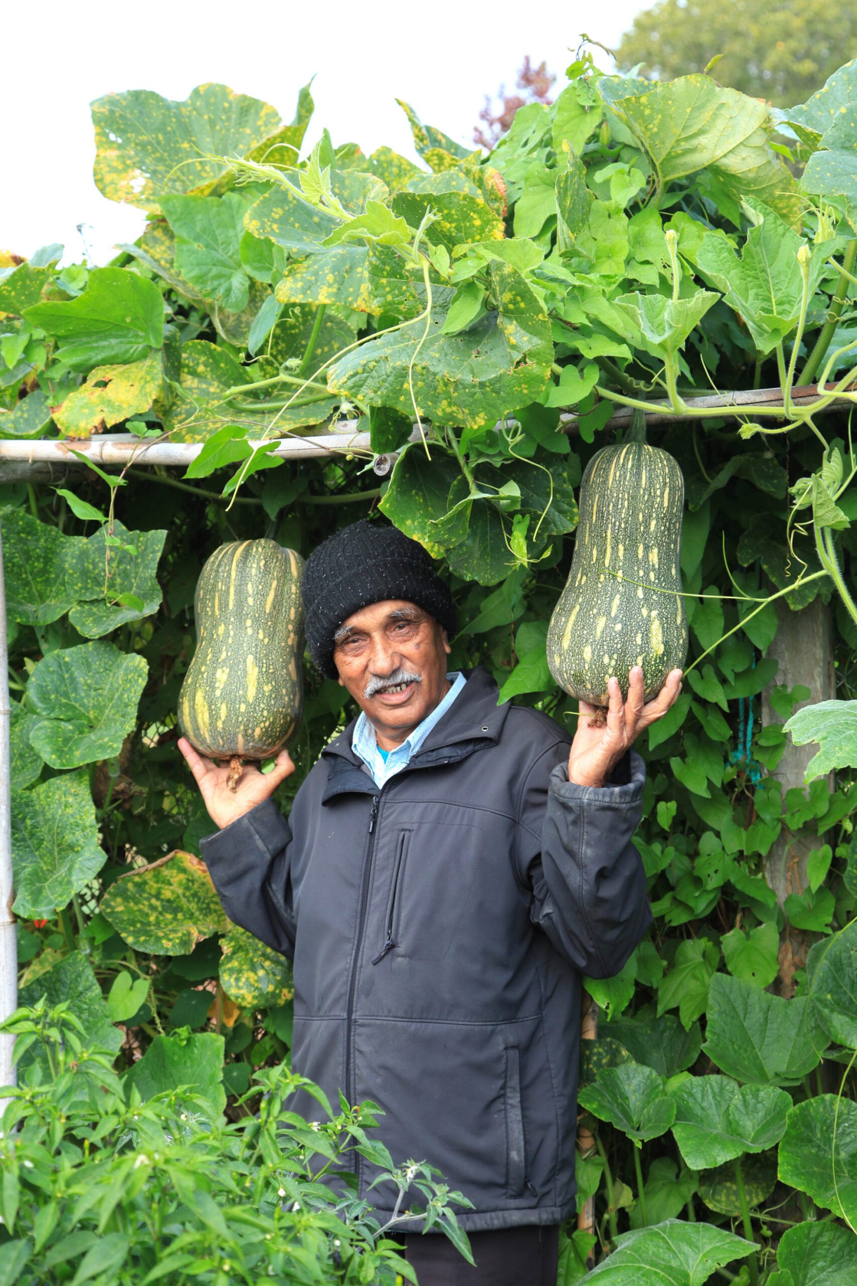 Ganga Prasad holding two Fijian Indian pumpkins while standing in garden