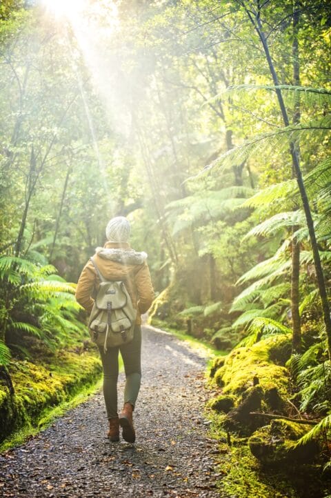 Person walking through the bush