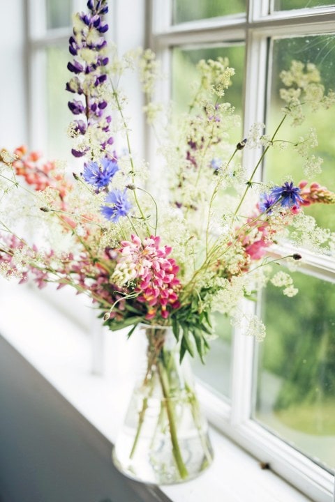 Glass vase on a windowsill with purple, pink and orange flowers