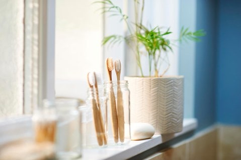 A glass jar on a windowsill with four wood toothbrushes and a pot plant