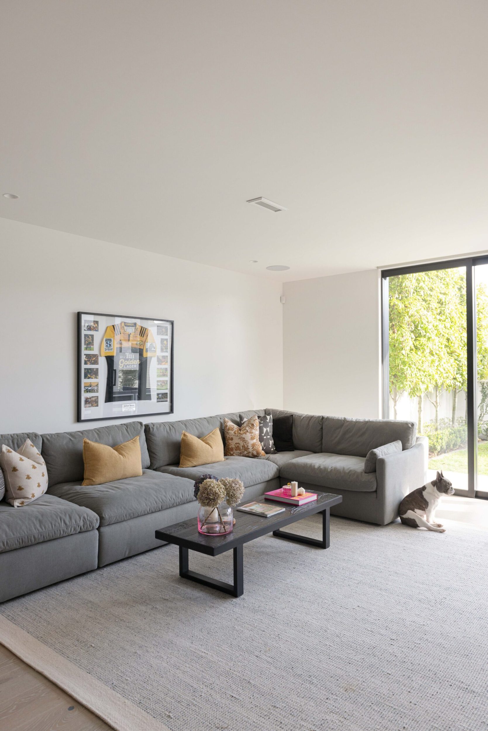 Family room with large grey couch, black coffee table and framed rugby jersey on the wall