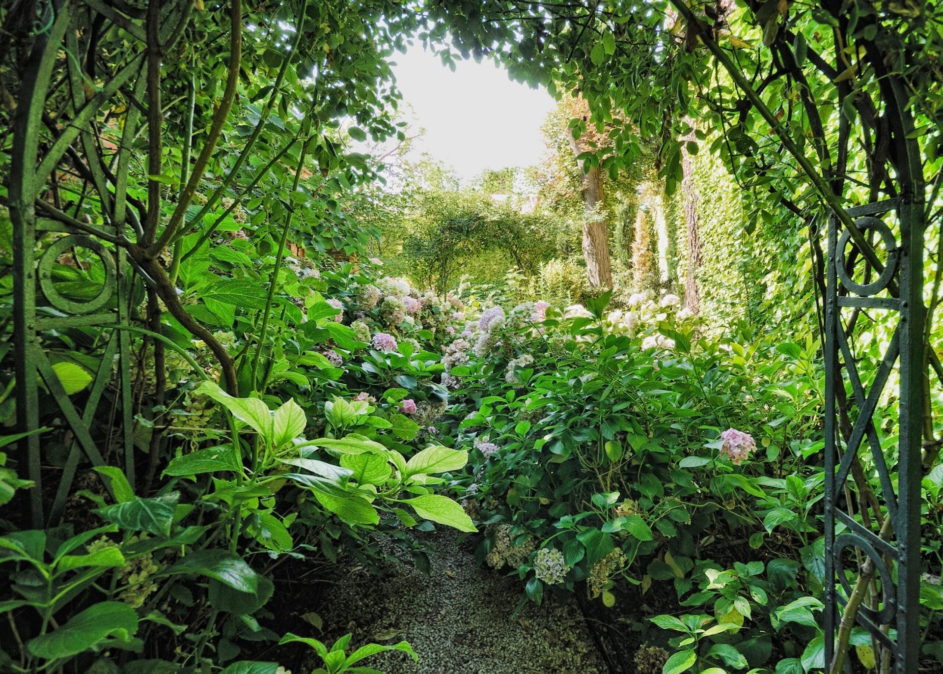 An archway that leads down a short path where there are overgrown flower beds