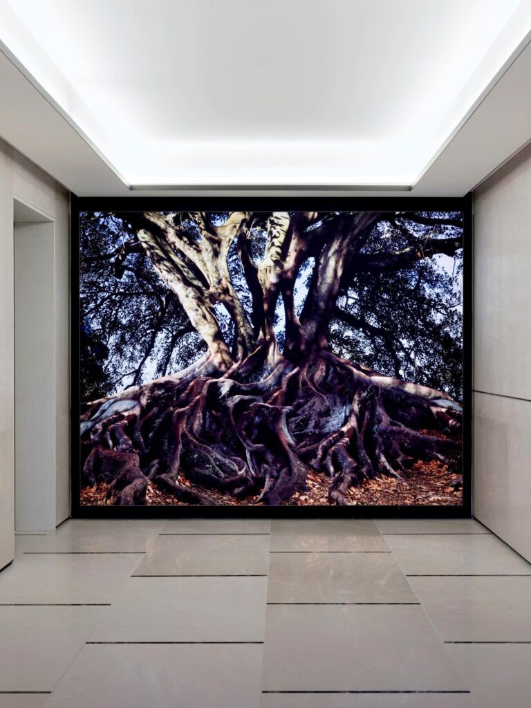 Lightboxes that display artwork in the Cordis Auckland