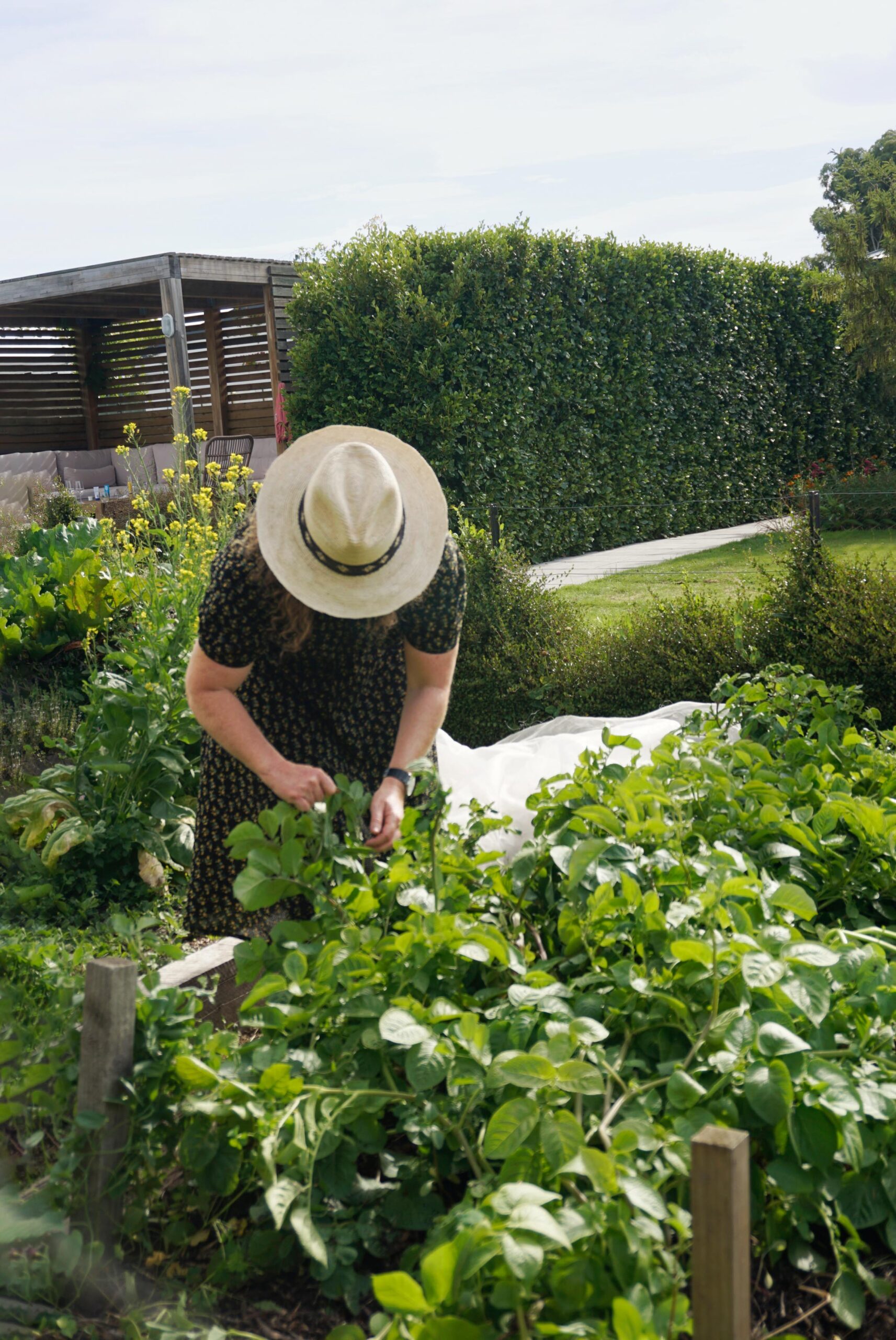 A woman in a wide-brimmed hat tends to plants.