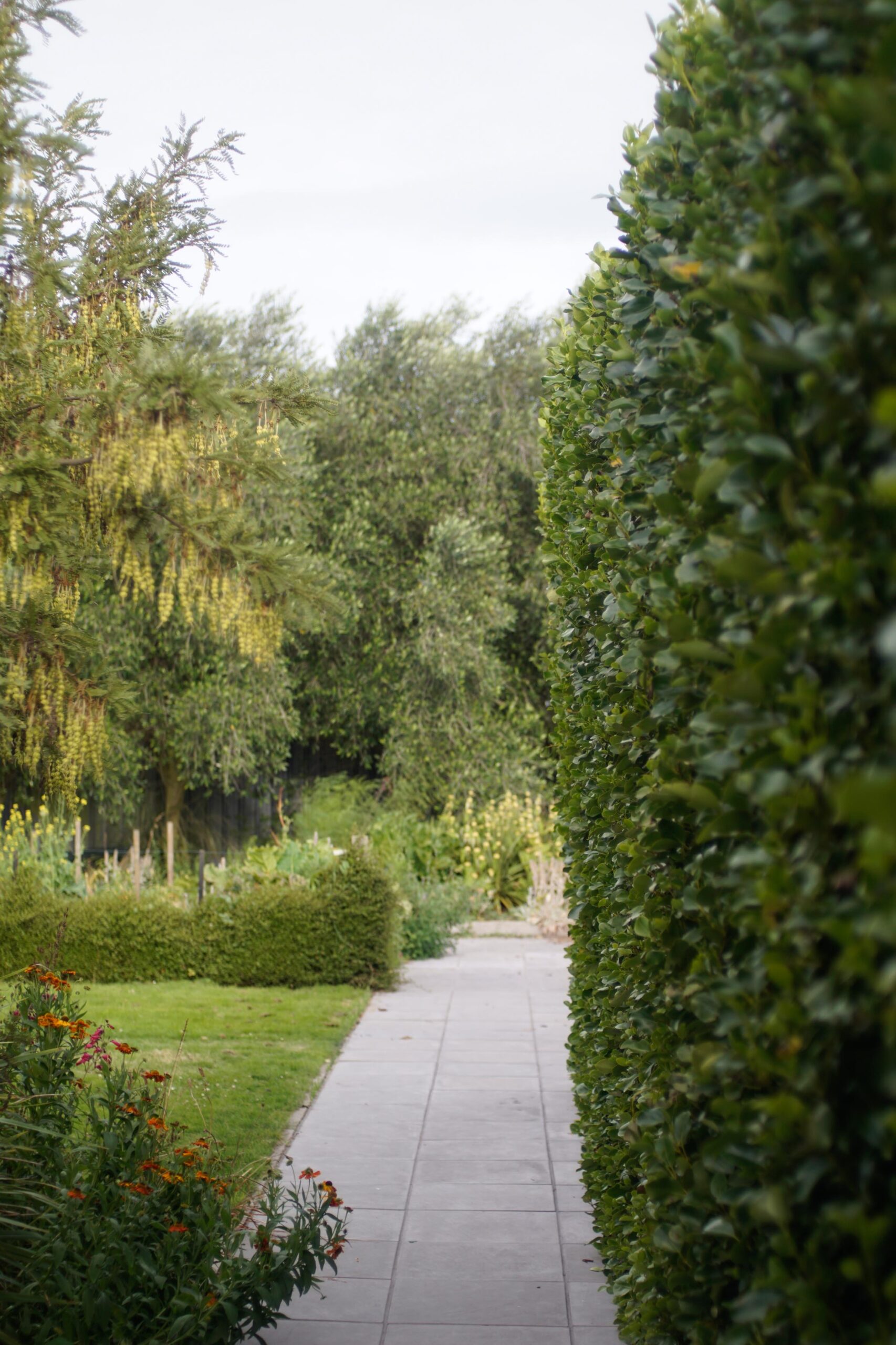 A garden path framed by hedges.