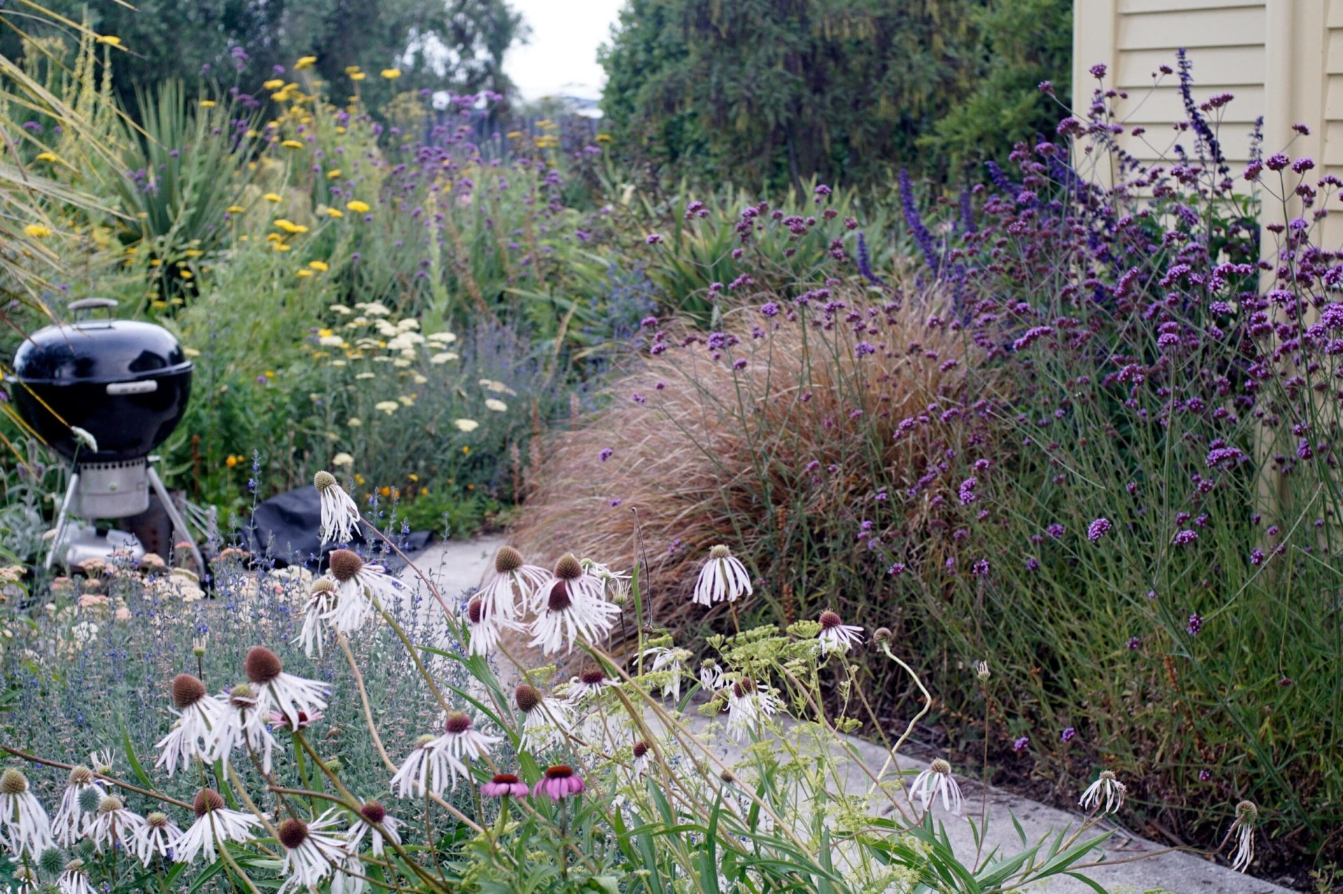 A thriving garden with small barbecue in background.