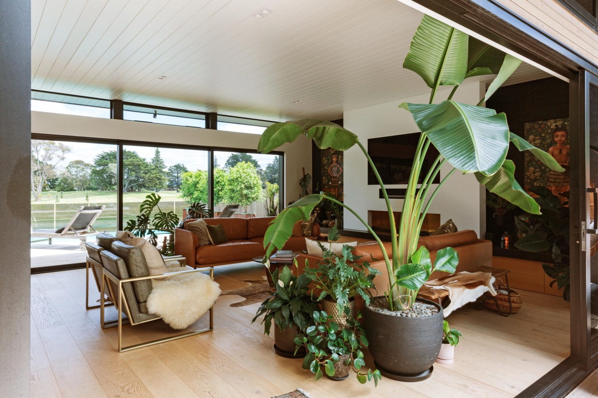 A sunny living room filled with couches and plants.