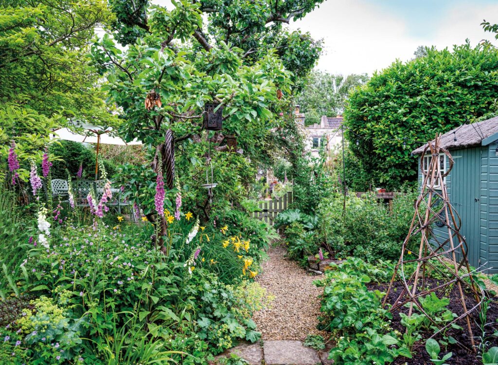 a sprawling garden with rocky path and hanging purple flowers